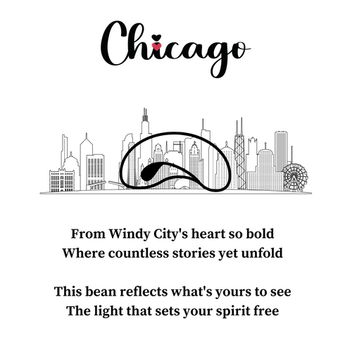 Chicago Reflection Bean Sterling Silver Necklace